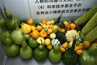 第十五屆昆明農博會開幕啦，快收下這份逛展攻略，周末約起！