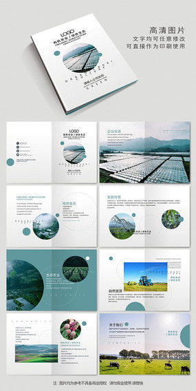 食品公司畫(huà)冊(cè)設(shè)計(jì) 素材精選與廣告創(chuàng)意指南