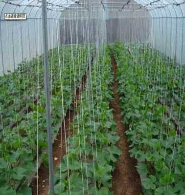 萊蕪市萊城區蔚霖節水灌溉產品經營部