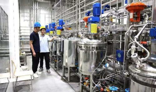 津南科創企業歐尚元簽下埃及大單 承建當地四條食品生產線